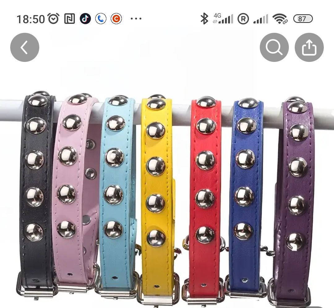 Collier de chien 🐶 réglable envoi gratuit 2/4j