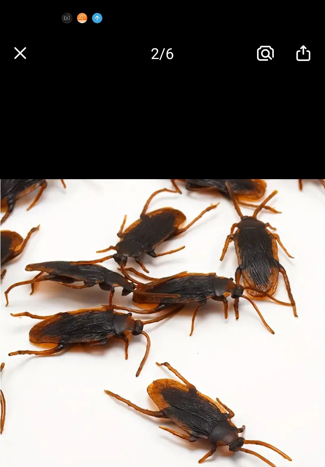 Jouet Drôle Faux Cafard, Nouveauté Cafards Bugs Insectes Réalistes. Envoi gratuit et rapide 2/4j